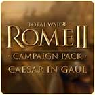 Total War: Rome 2 - Caesar in Gaul Campaign Pack